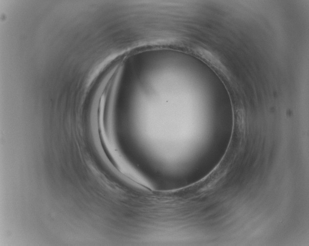 X0000071820676200607290018