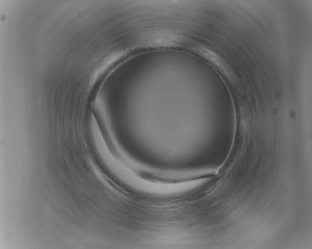 X0000071820677200607290018