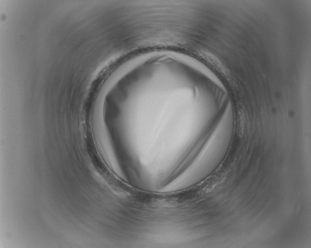 X0000071820680200607290018