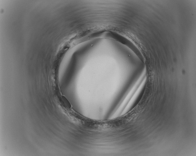 X0000071820688200607290018