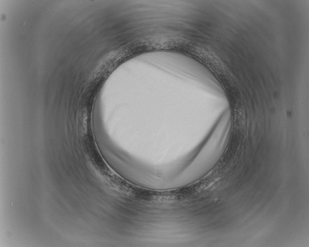 X0000071820694200607290018