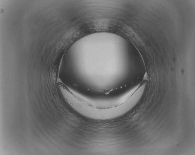 X0000071820697200607290018