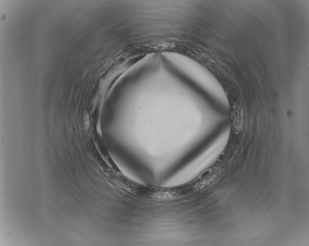 X0000071820704200607290017