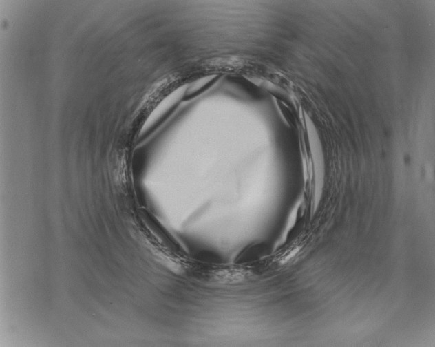 X0000071820708200607290017
