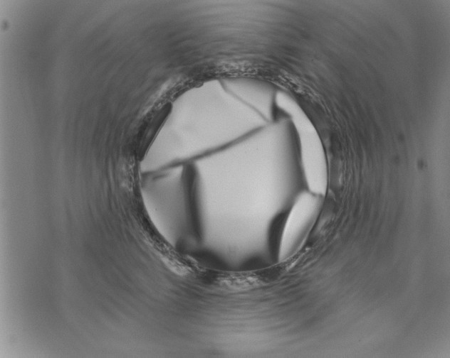X0000071820712200607290017