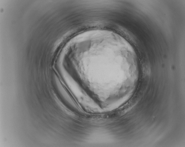 X0000071820725200607290016