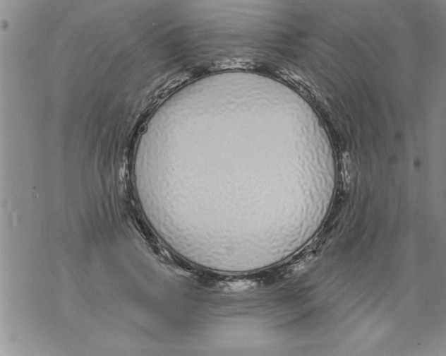 X0000071820741200607290017