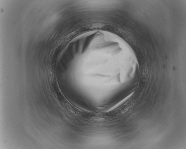 X0000071820743200607290017