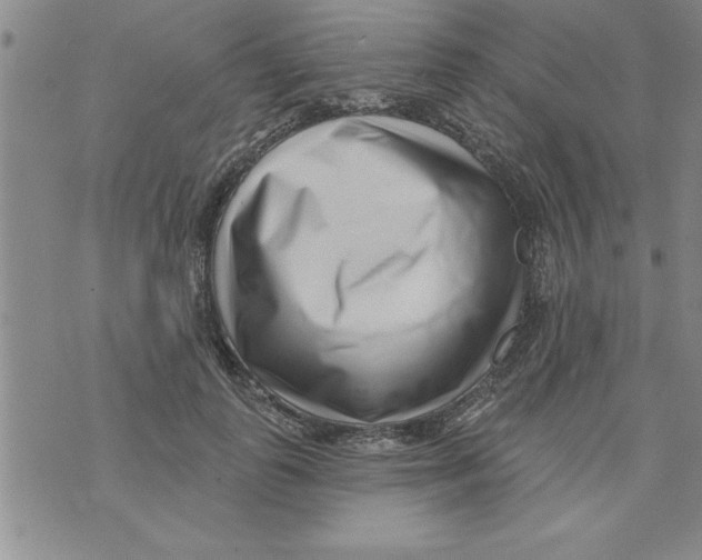X0000071820747200607290017