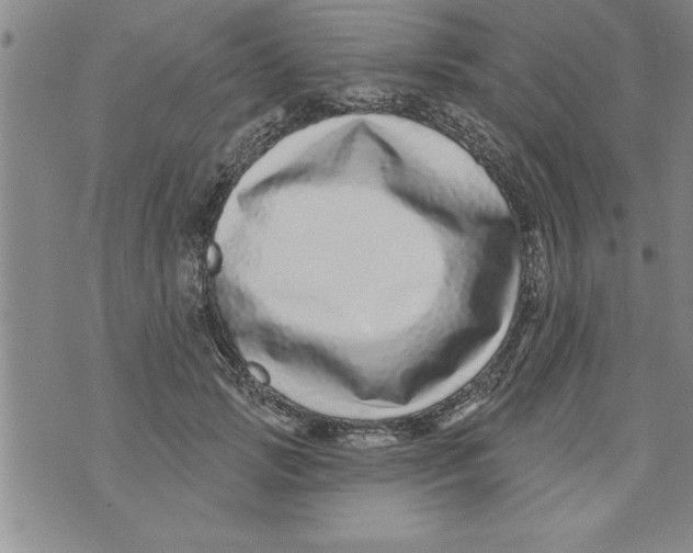 X0000071820749200607290017