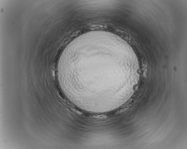 X0000071820753200607290017