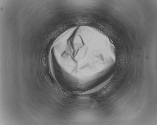 X0000071820755200607290017