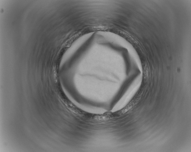 X0000071820764200607290017