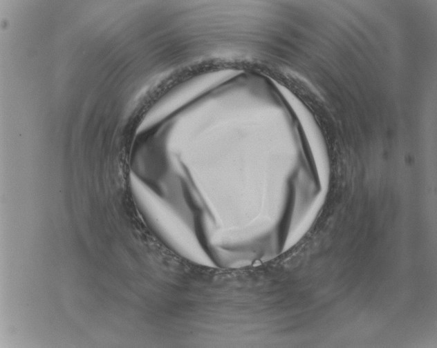 X0000071820776200607290016