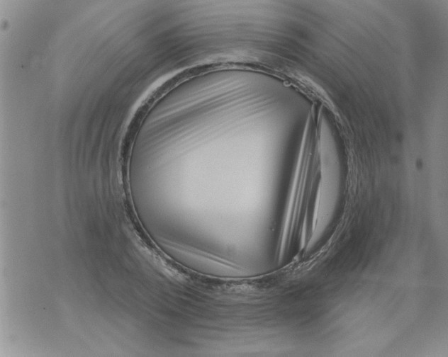 X0000071820784200607290016