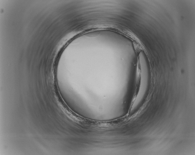 X0000071820787200607290016