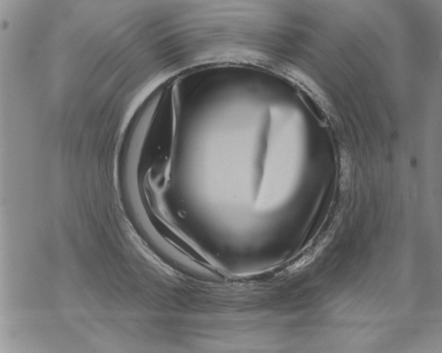 X0000071820788200607290016