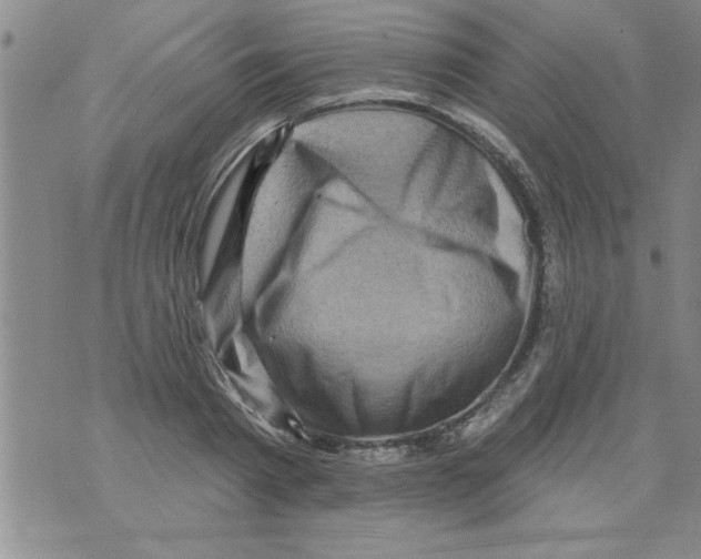 X0000071820793200607290016