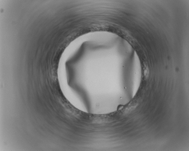 X0000071820819200607290015