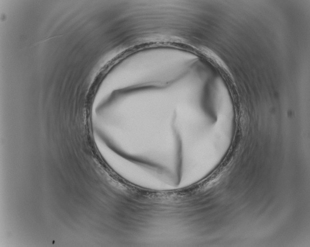 X0000071820831200607290015