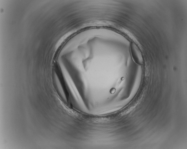 X0000071820837200607290015