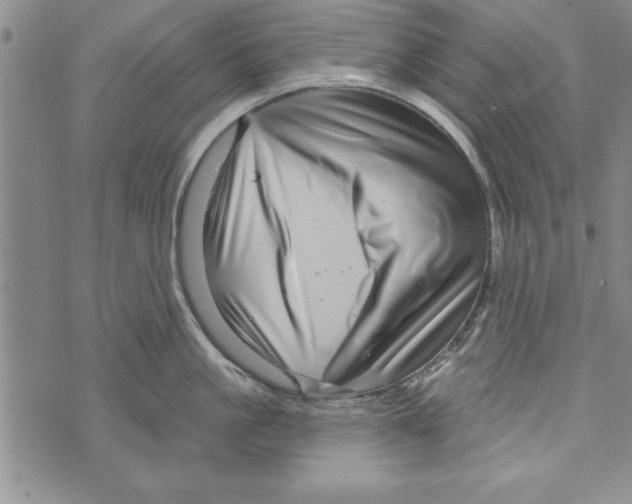 X0000071820861200607290016
