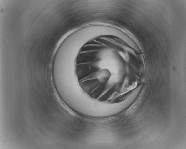X0000071820862200607290016