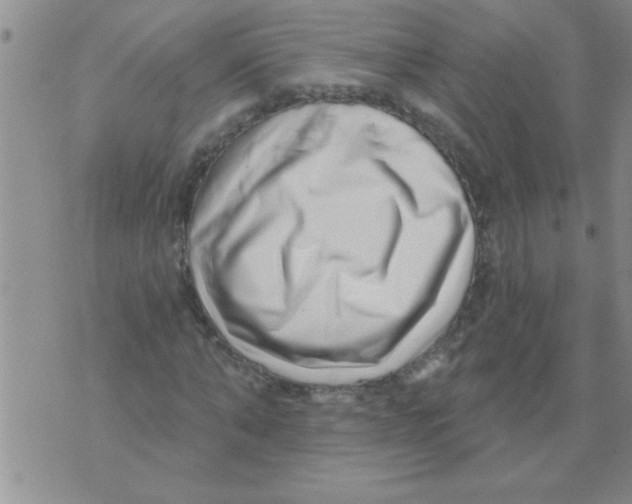 X0000071820870200607290015