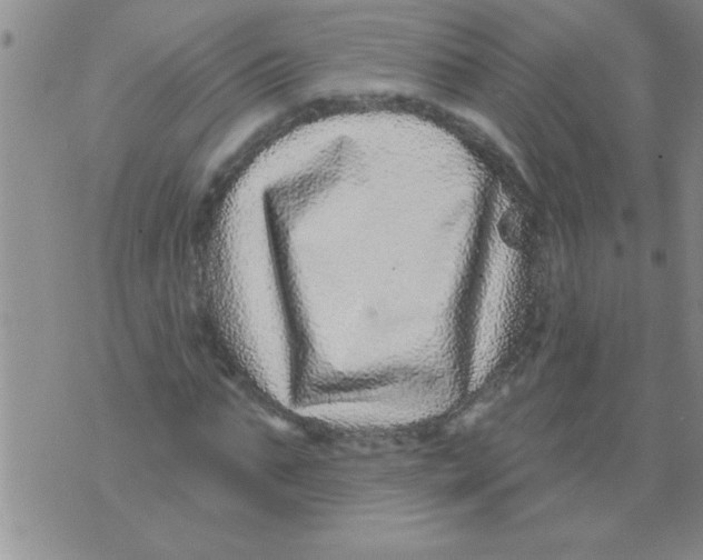 X0000071820871200607290015