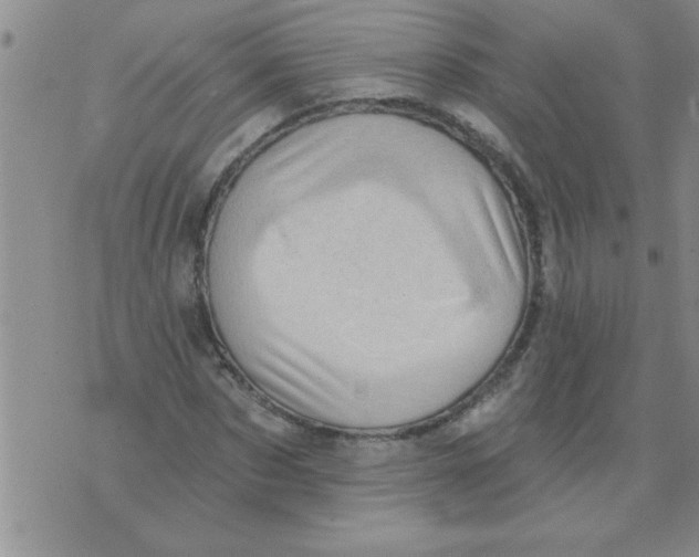X0000071820873200607290015
