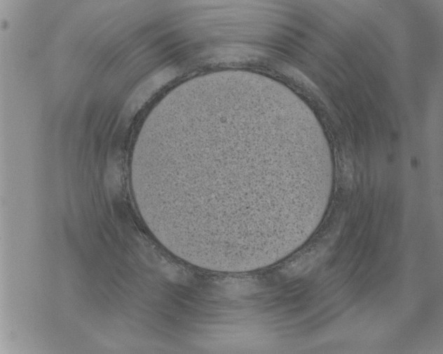 X0000071820874200607290015
