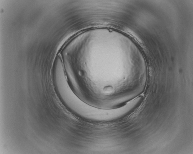 X0000071820891200607290014