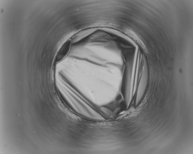 X0000071820900200607290014