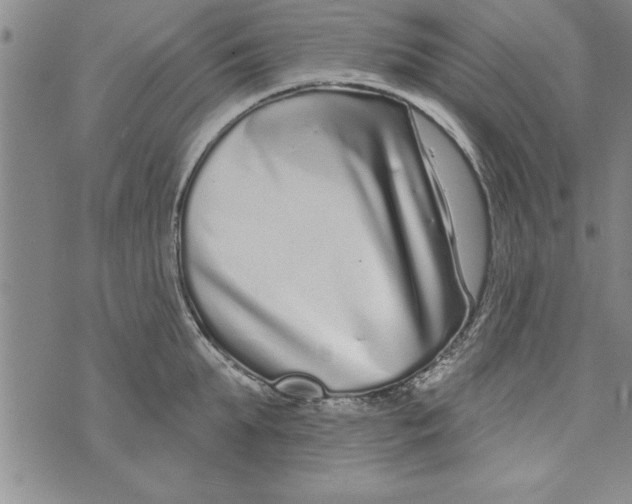 X0000071820903200607290014