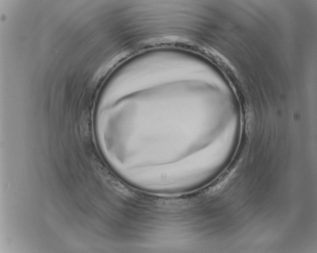 X0000071820921200607290013