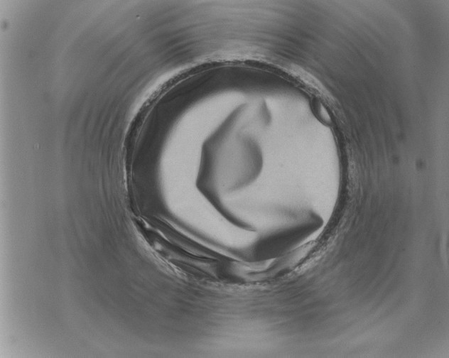 X0000071820934200607290014