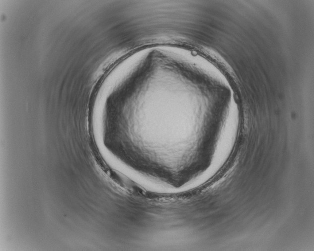 X0000071820938200607290014
