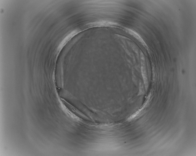X0000071820946200607290014