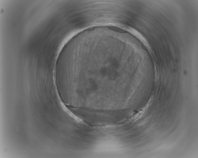 X0000071820958200607290014