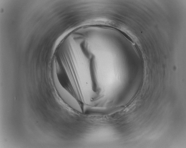 X0000071820960200607290014