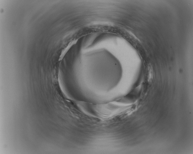 X0000071820965200607290013