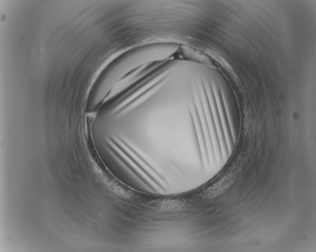 X0000071820984200607290013