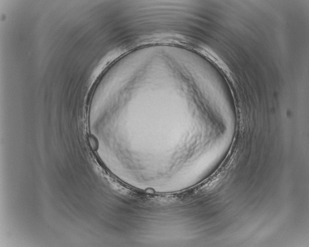 X0000071820994200607290013