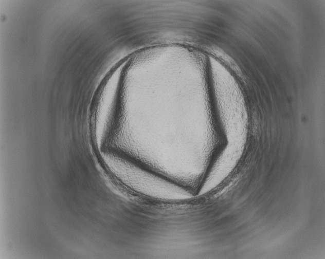 X0000071821039200607290012