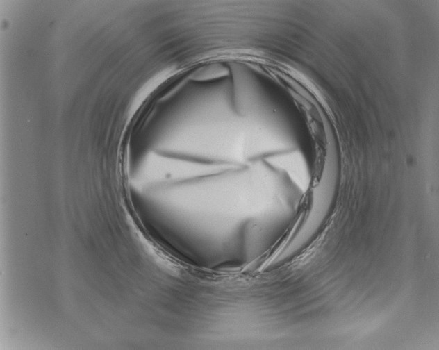 X0000071821050200607290012