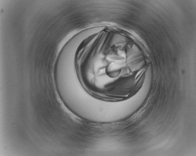 X0000071821054200607290012