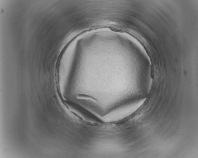 X0000071821055200607290012