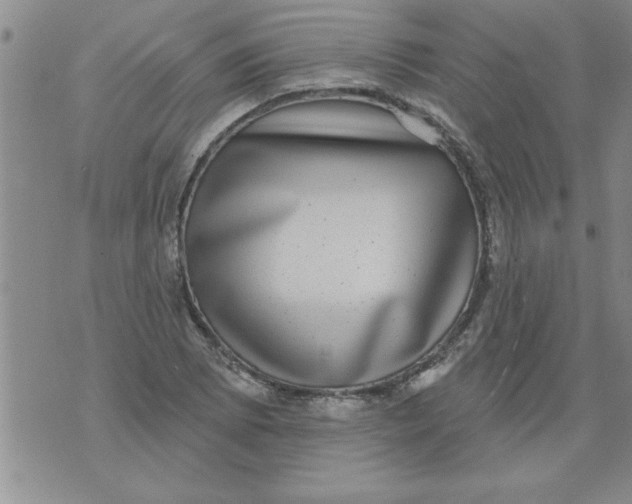 X0000071821073200607290011