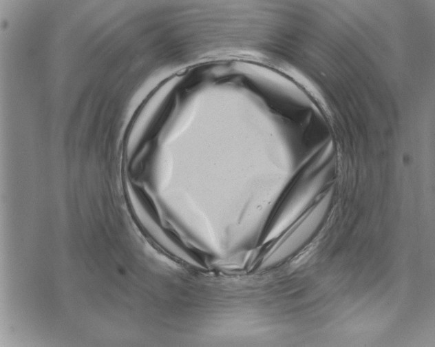X0000071821102200607290011