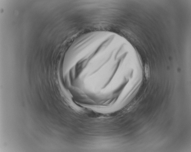 X0000071821107200607290010